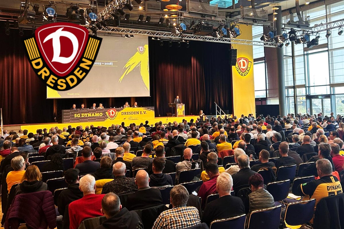 Dynamo Dresden: Finanzen zwischen Höhenflug und warnenden Worten