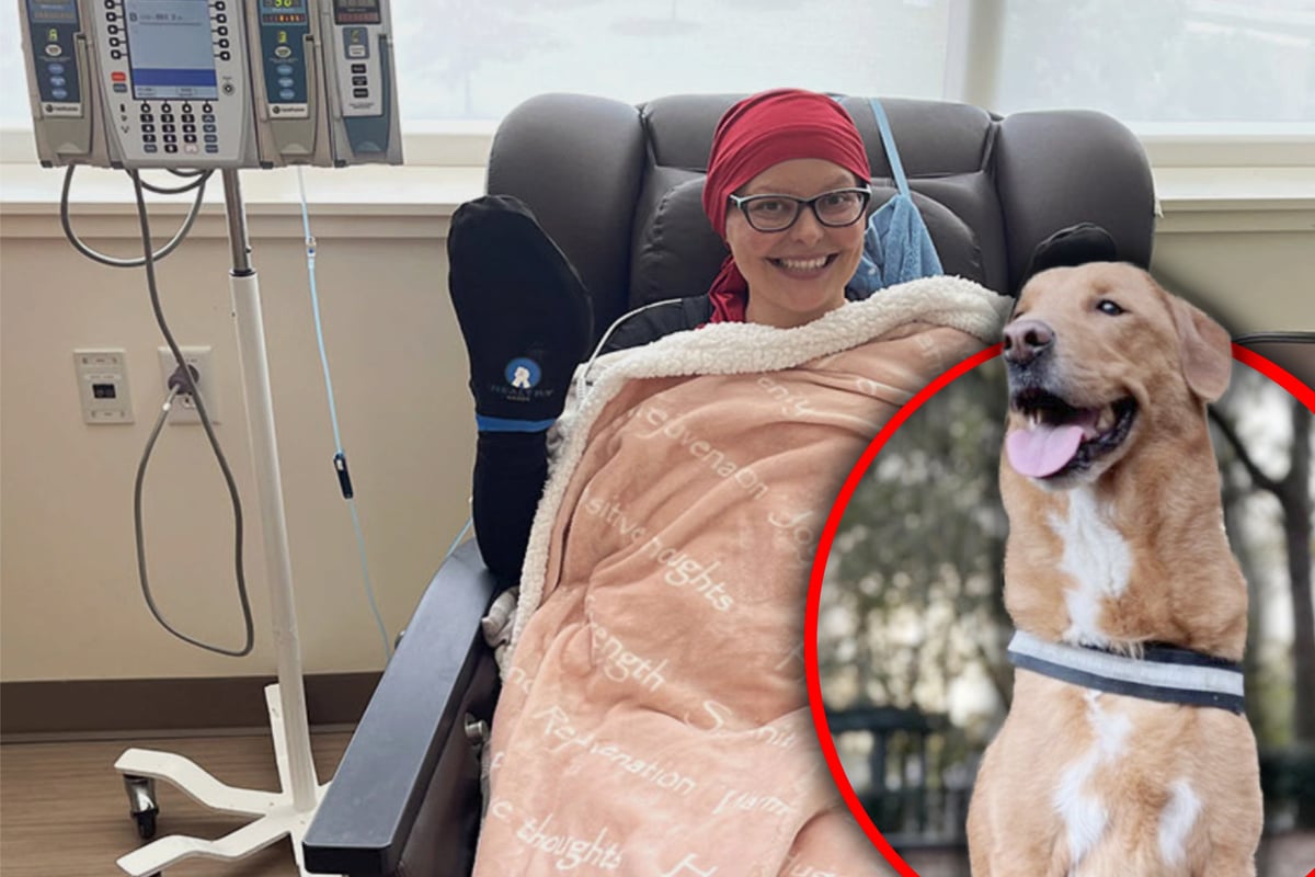 Dog sniffed out his owner's deadly cancer before it was too late