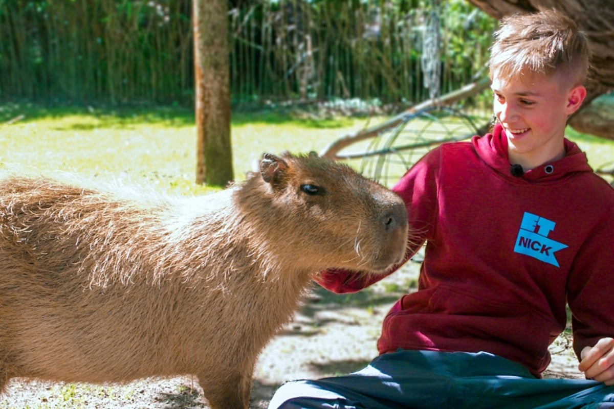 Tierisches Abenteuer: MDR sucht Teenies für Zoo-WG