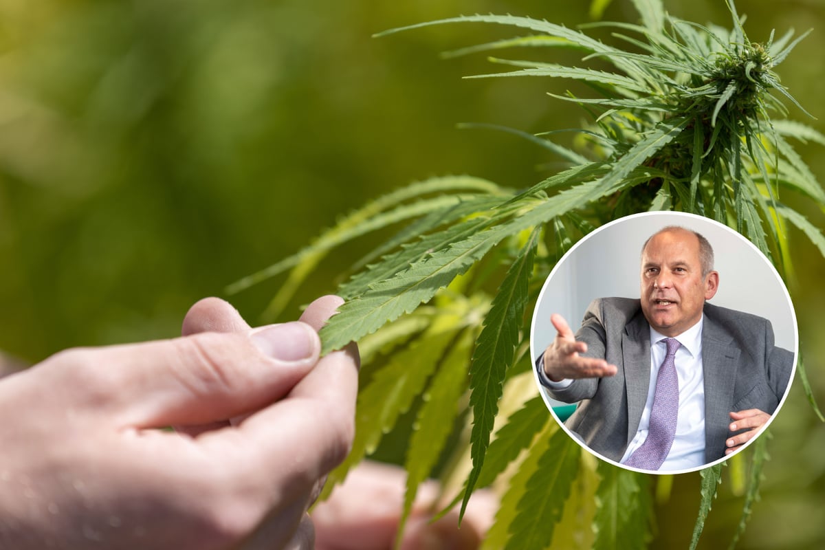 Trotz Legalisierung: Immer noch kein Cannabis-Anbauverein in Hessen genehmigt!