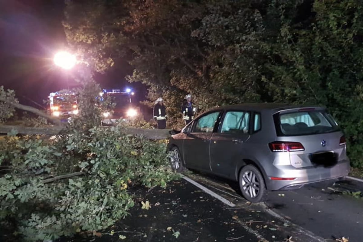 Leipzig: 60-year-old crashes into felled tree on country road!  How did he get there?  Police are investigating