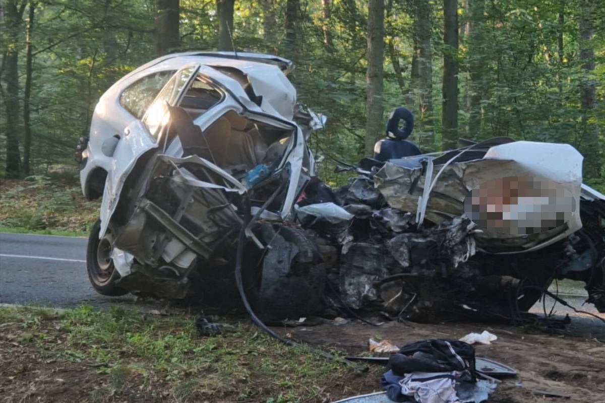 Tödlicher Unfall in Brandenburg: Zwei Menschen sterben bei Baum-Crash