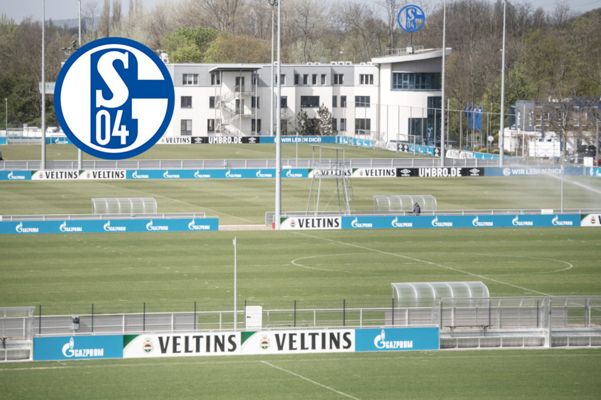 Corona-Alarm auf Schalke: Positive Fälle, Trainingspause! Quarantäne für Bundesligisten?