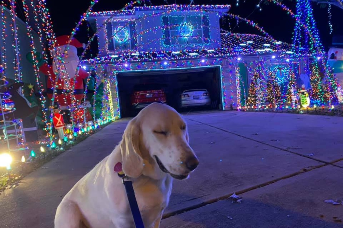 Santa Paws is coming to Round Rock with a special Christmas light show