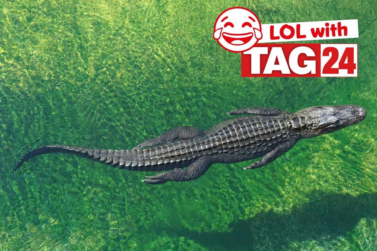 4i4rekh9577131u7egxj1emvl47hxl