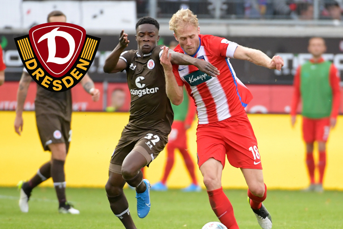 DynamoNeuzugang Nummer acht ist jetzt offiziell SGD leiht Conteh aus!