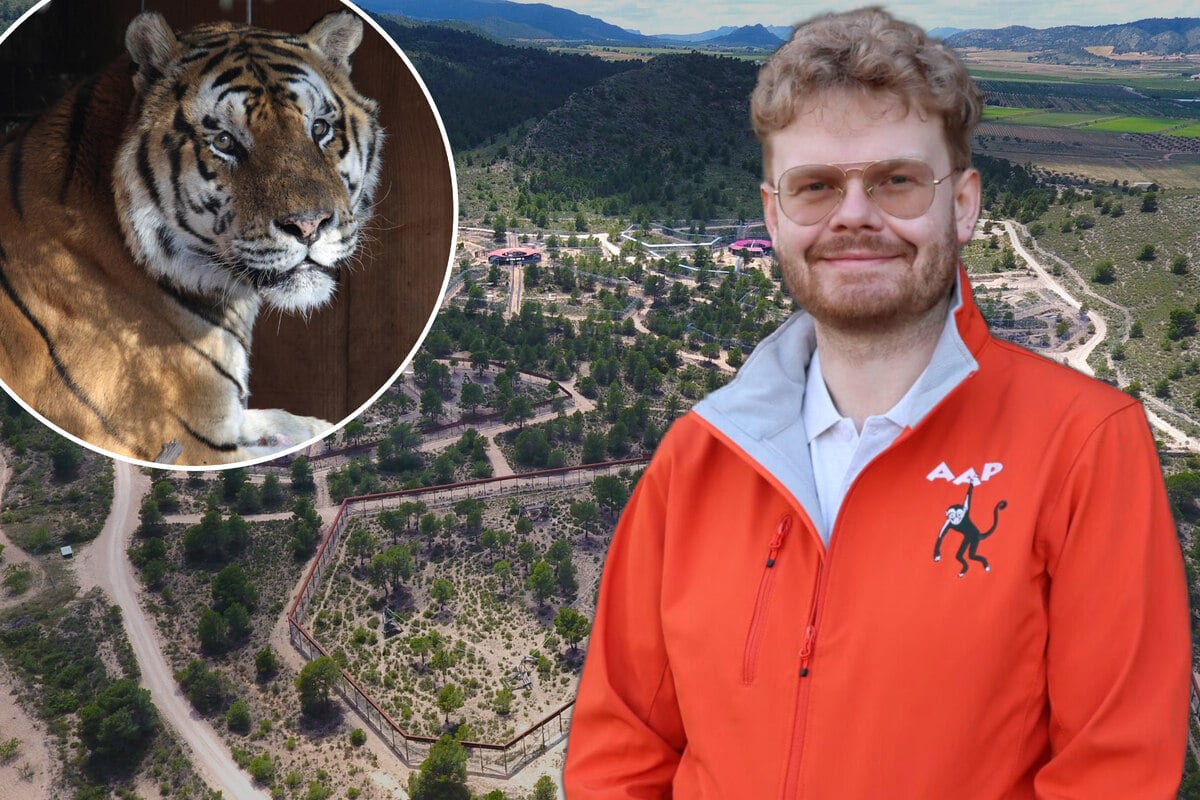Tierschützer machen Angebot an Leipziger Tiger-Queen: "Könnt
