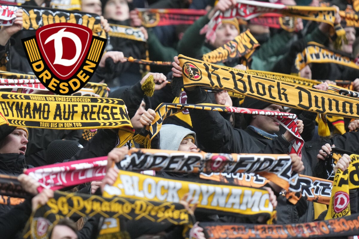 Dynamo-Dresden-Blog-G-steblock-auf-Schalke-ausverkauft-So-viele-SGD-Fans-reisen-mit