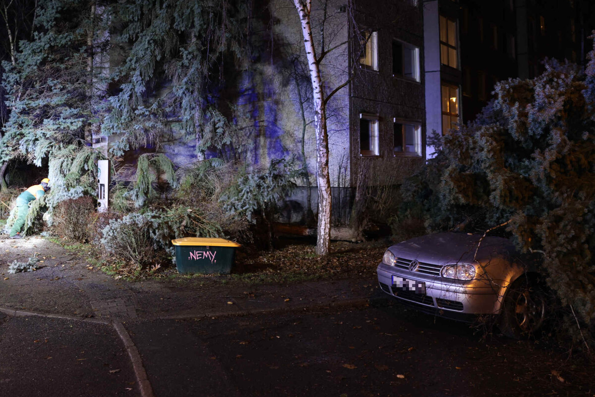 Sturmtief über Dresden! Baum begräbt Auto - weitere Einsätze im Stadtgebiet
