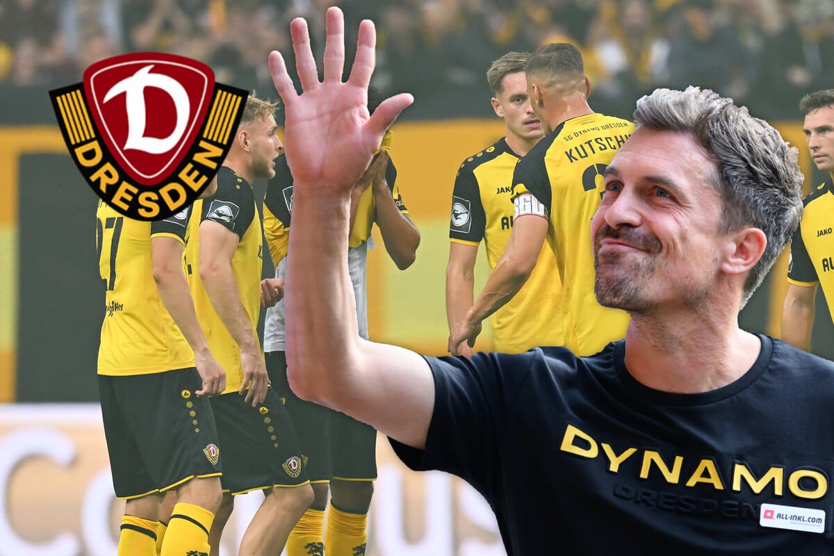 So leitete Dynamo-Coach Stamm die Wende gegen Cottbus ein!