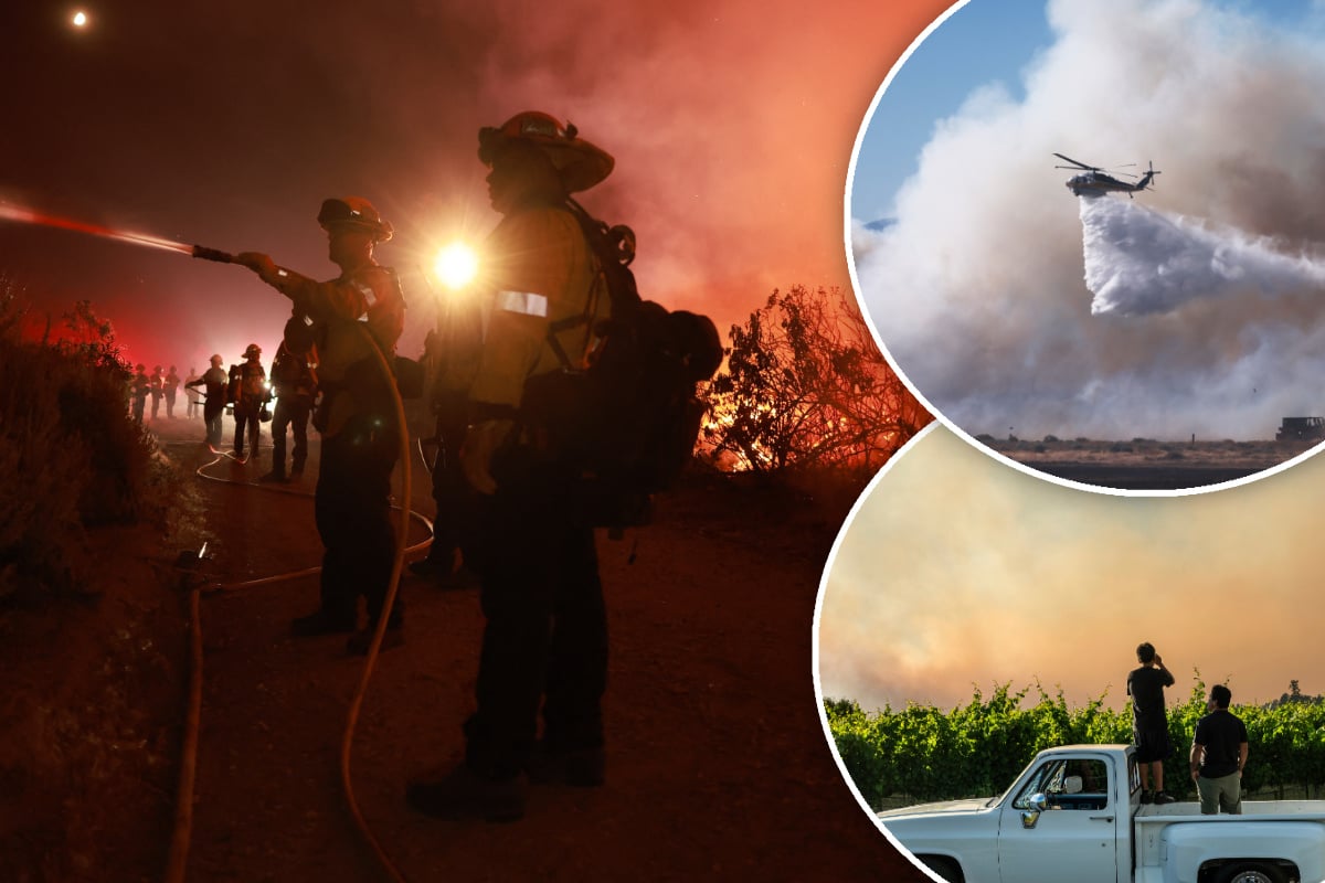 Kein Ende in Sicht: Verheerende Waldbrände zerstören fast 15.000 Hektar!