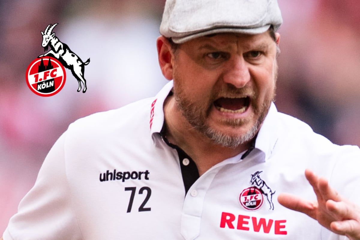 1. FC Köln: Steffen Baumgart winkt Vertrag bis 2025