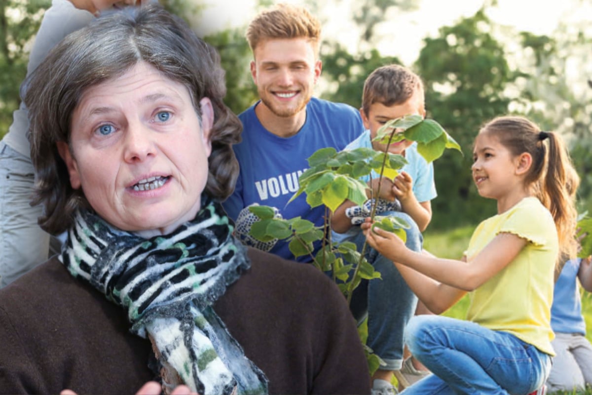 Pilot project in Dresden: schoolyards should become greener