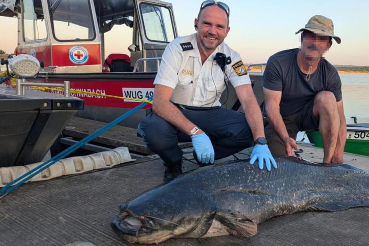 wels-drama-im-brombachsee-durfte-die-polizei-auf-den-bissigen-monsterfisch-schie-en