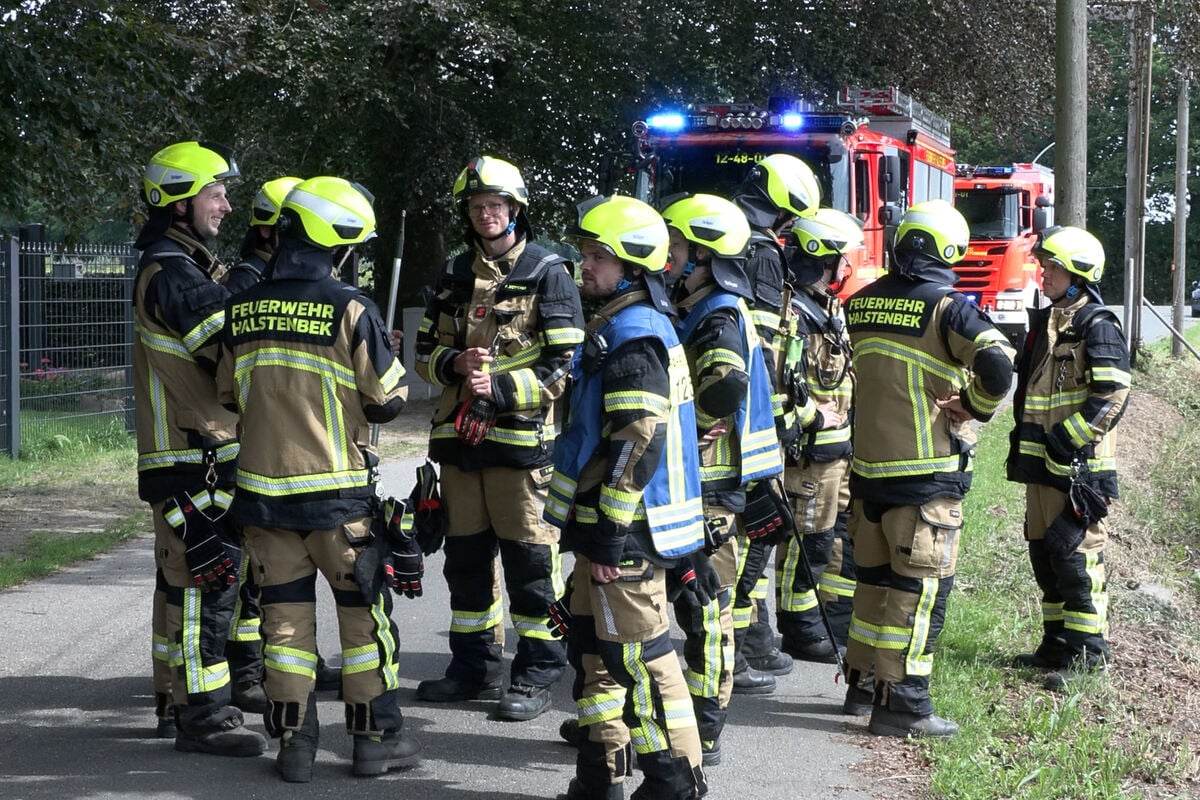 Offenbar-giftige-Schlange-in-der-N-he-einer-Schule-entdeckt-Warnung-an-die-Bev-lkerung