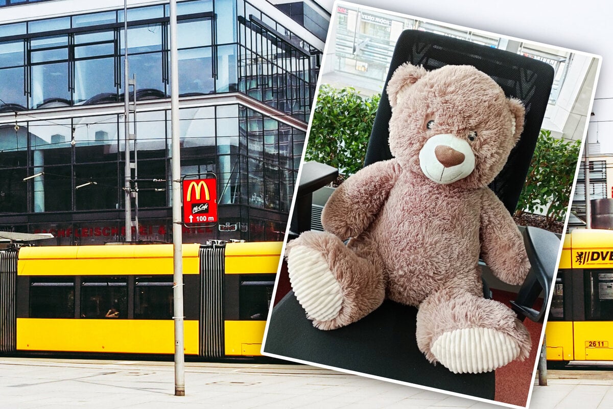 Teddy Am Dresdner Hauptbahnhof Verloren Gegangen Dvb Gewähren Dem Bären Zuflucht Und Suchen 