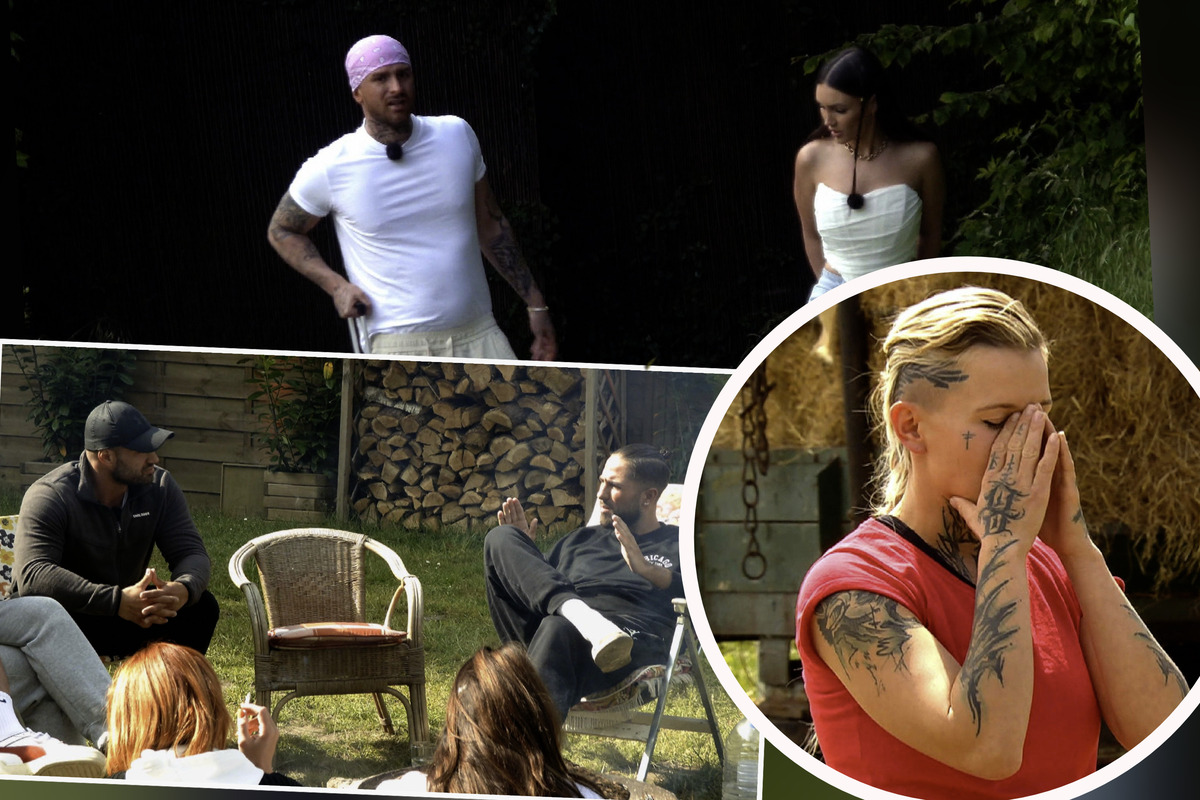 "Sommerhaus Der Stars" Explodiert! Verwirrung Nach Sommerhaus Der Stars Bekanntgabe: Dachte, Es Funktioniert Andersrum   Diese Aussage Schockiert! - ms3zaqo