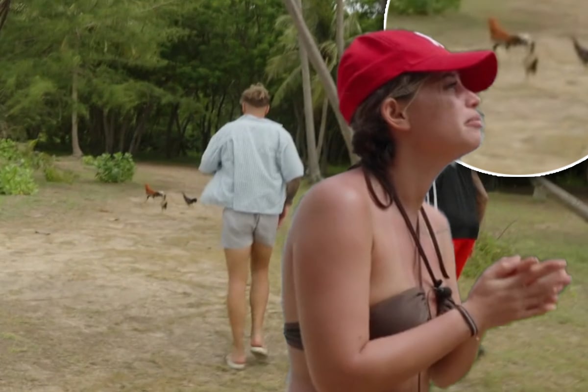 Kandidaten-wollen-Tiere-in-Reality-Show-t-ten-quot-M-sst-den-Kopf-hacken-und-das-Genick-brechen-quot-