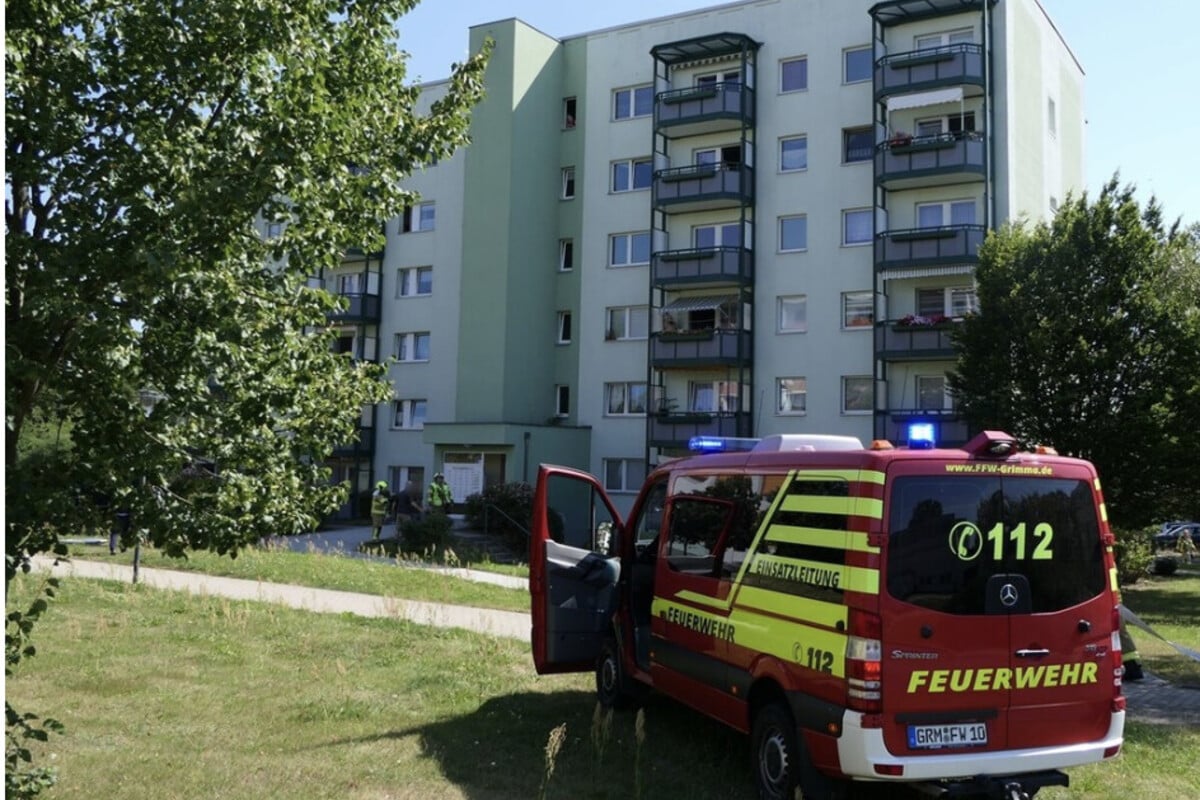 Essen auf Herd vergessen: Feuerwehreinsatz in Mehrfamilienhaus in Grimma