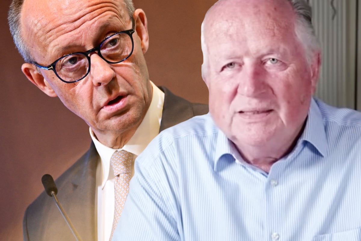 Wissenschaftler über Merz-Kanzlerschaft: 