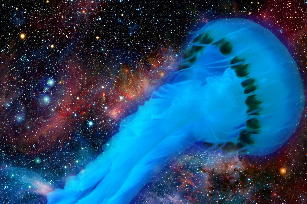 Jellyfish in space? Scientists observe bizarre cosmic phenomenon