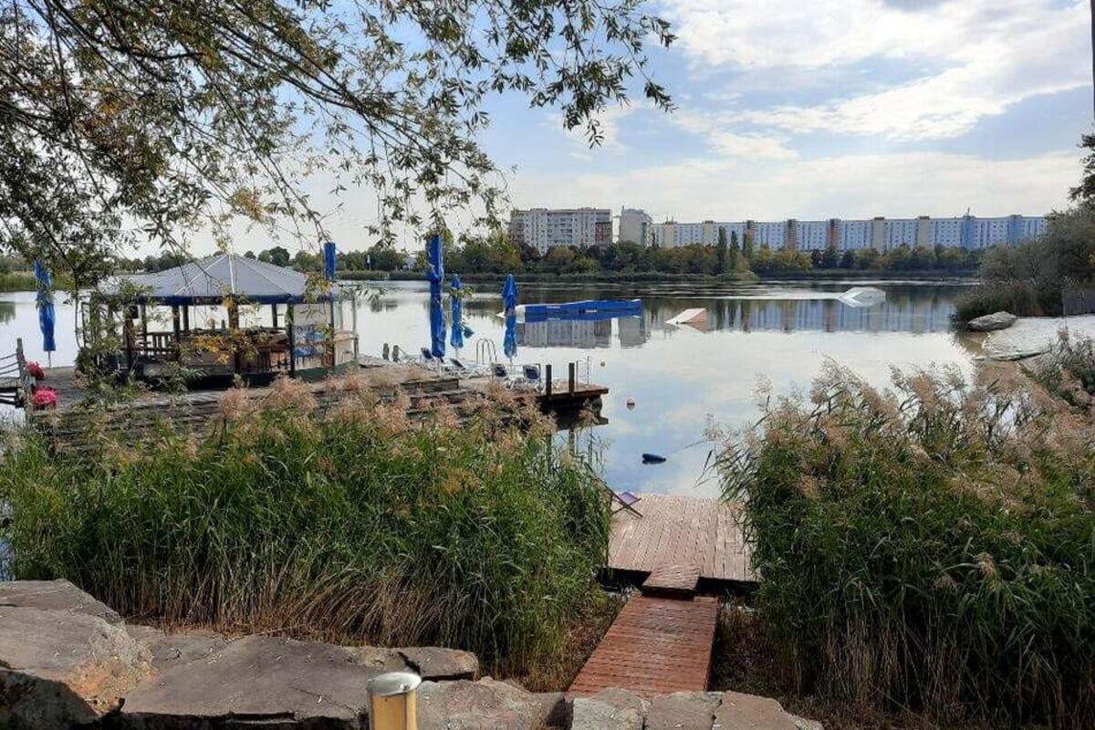 Blaualgen im Neustädter See: Stadt ruft Warnstufe zwei aus