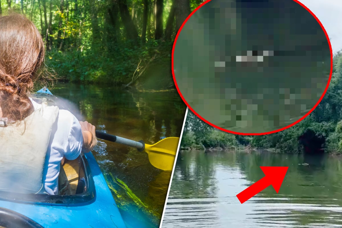 Frau macht Kajak-Trip: Was sie im Wasser entdeckt, löst Gänsehaut aus
