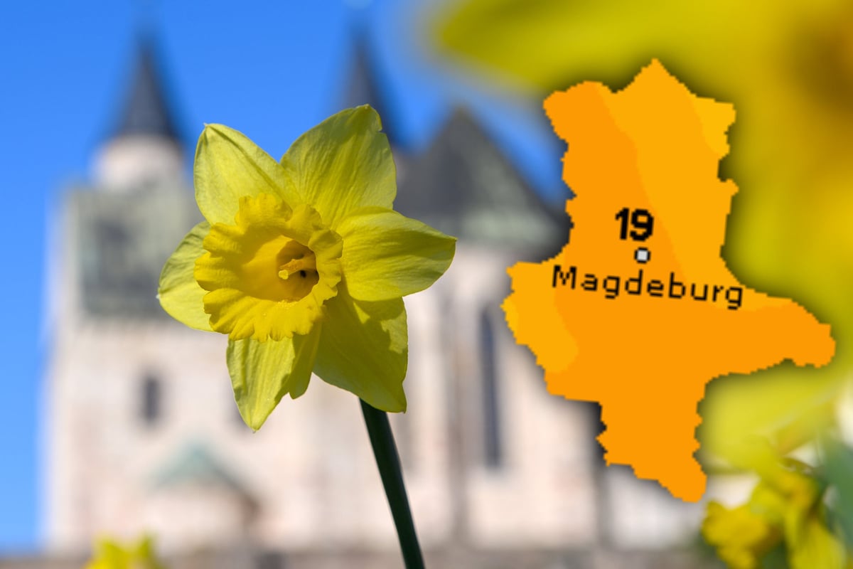 Sachsen-Anhalt-freut-sich-auf-sonniges-Wetter-am-Wochenende