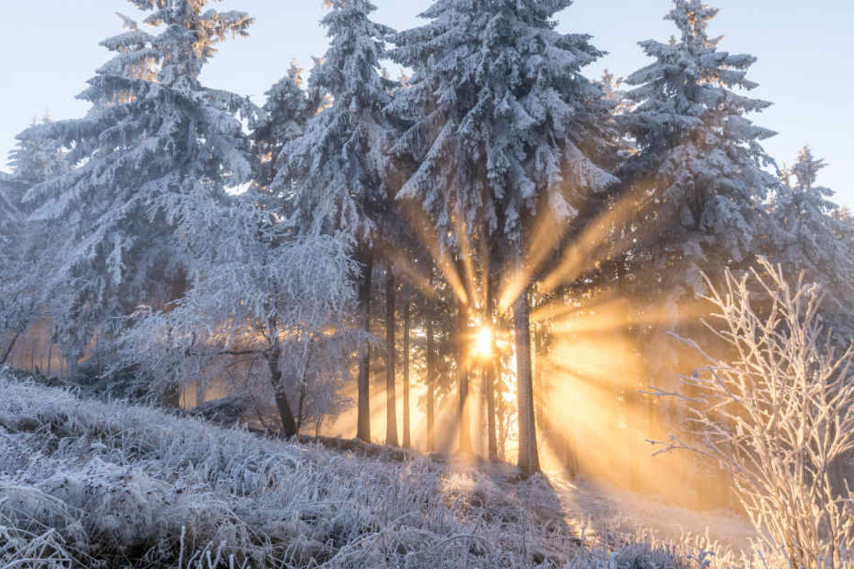 Wann gibt es endlich Schnee? Ski-Saison wartet auf den ...