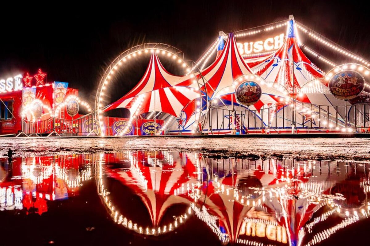 Das ist Silvester in Magdeburg los: Von Show über Dinner bis zur wilden Party