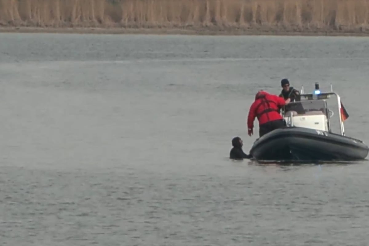 Gestrandeter Buckelwal atmet schwächer: Polizei muss Schwimmerin aufhalten