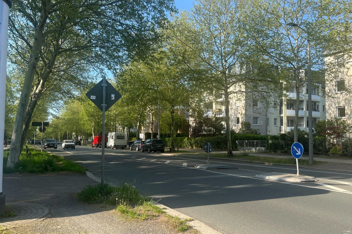 Skurrile Aktion in Leipzig: Mann zerrt Baumstamm auf Straße und beleidigt Beamte