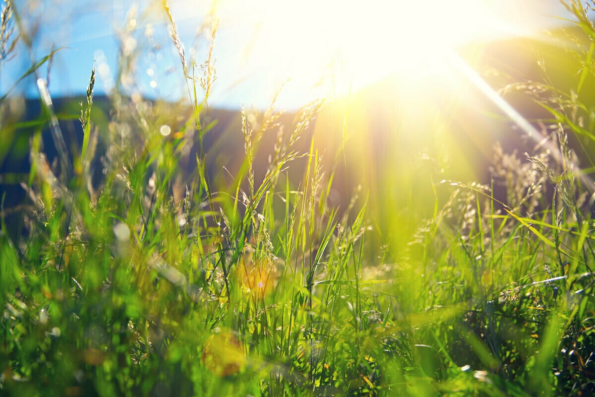 Today's horoscope: Free daily horoscope for Monday, April 20, 2026