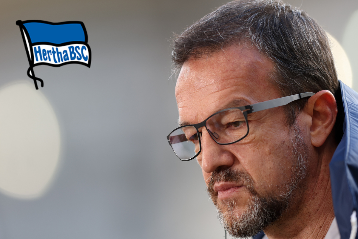 Hertha Bsc: Amtlich! Unglaublich! Diese Summe Bekam Hertha Für Kwasigrochs Wechsel Nach Katar! - 7t0f5x5
