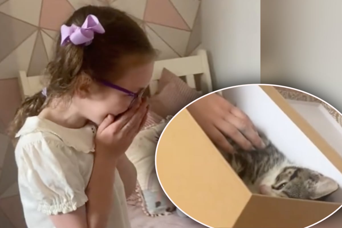 Frau-schenkt-kleiner-Tochter-Babykatze-Wie-Kind-reagiert-ist-herzzerrei-end