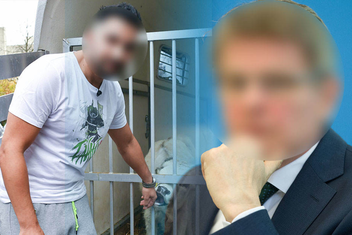 LГ¶w Peinlich LГ¶w Peinlich