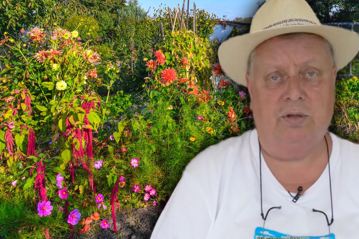 Verunreinigtes-Wasser-beim-s-chsischen-Gartensheriff-Weil-da-Leichen-verbuddelt-waren-