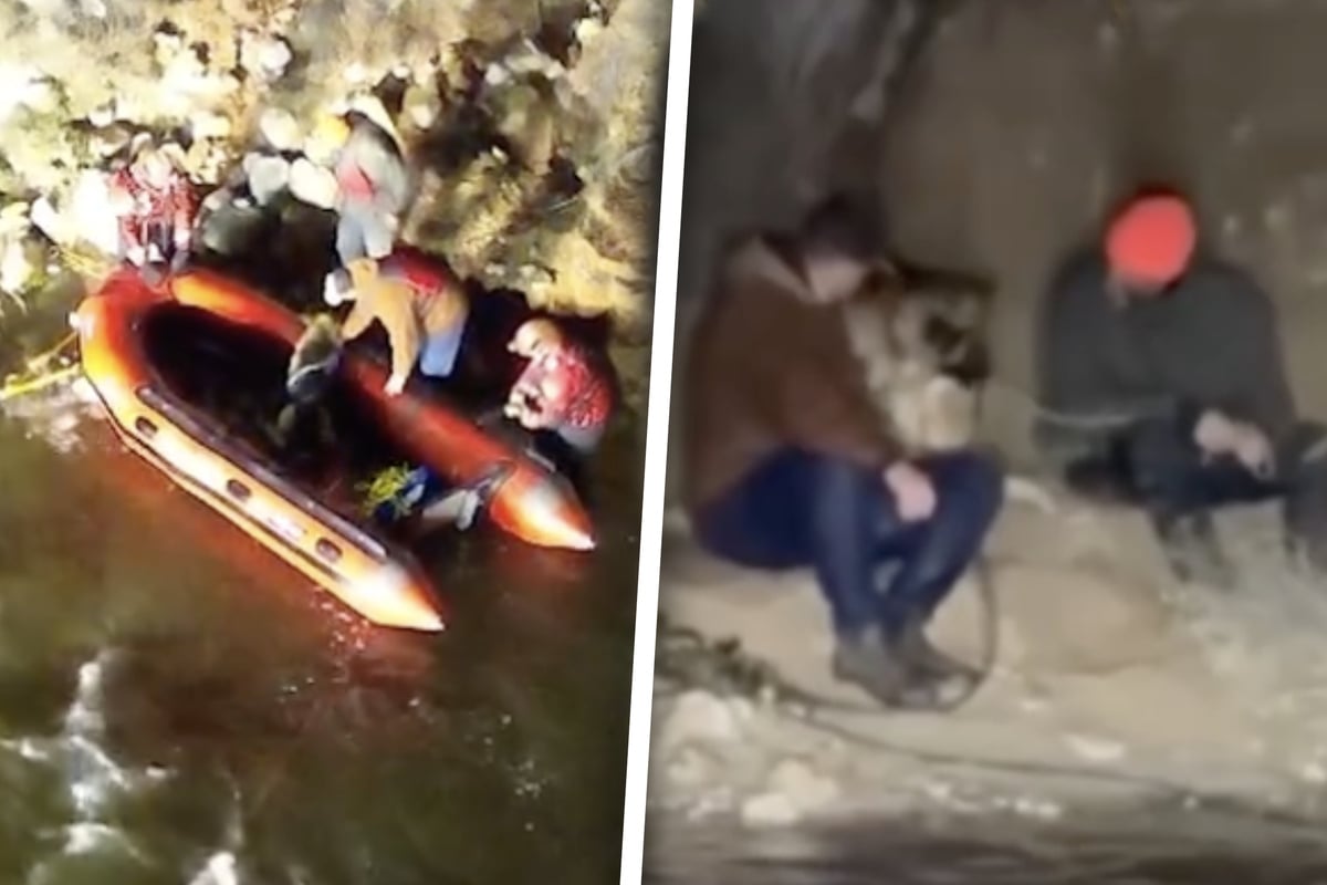 M-nner-wollen-Hund-retten-bringen-sich-dabei-jedoch-selbst-in-Gefahr