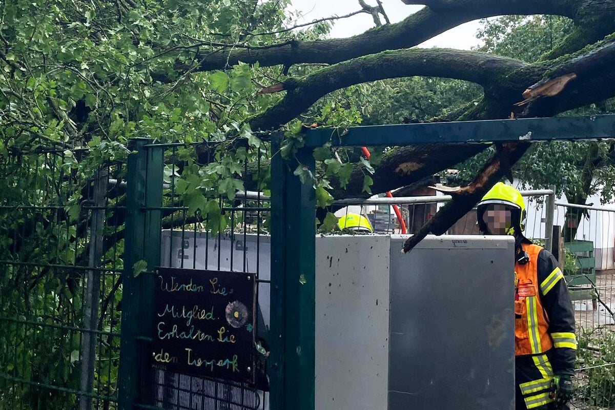 Starkregen-Hagel-und-Sturmb-en-Unwetter-tobt-in-Hattersheim-am-Main