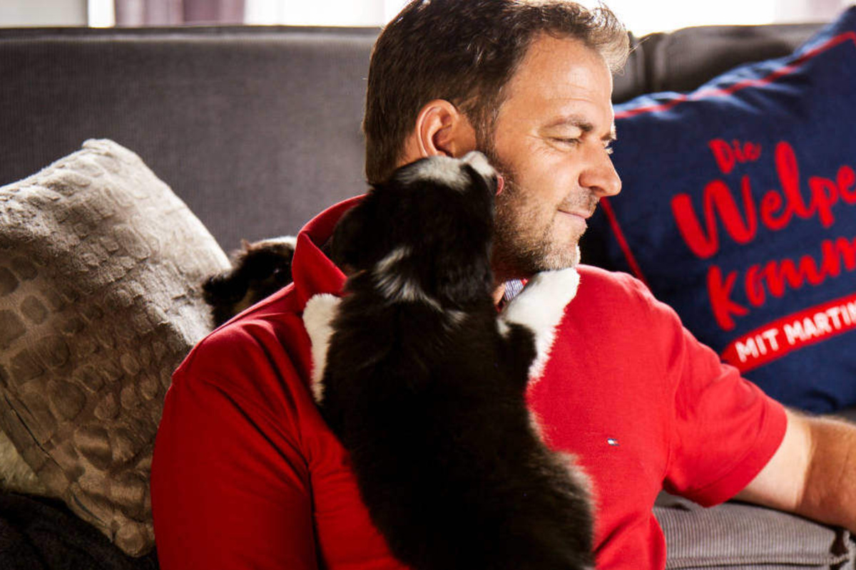 "Die Welpen kommen": Neue Hunde-Doku mit Martin Rütter bei ...