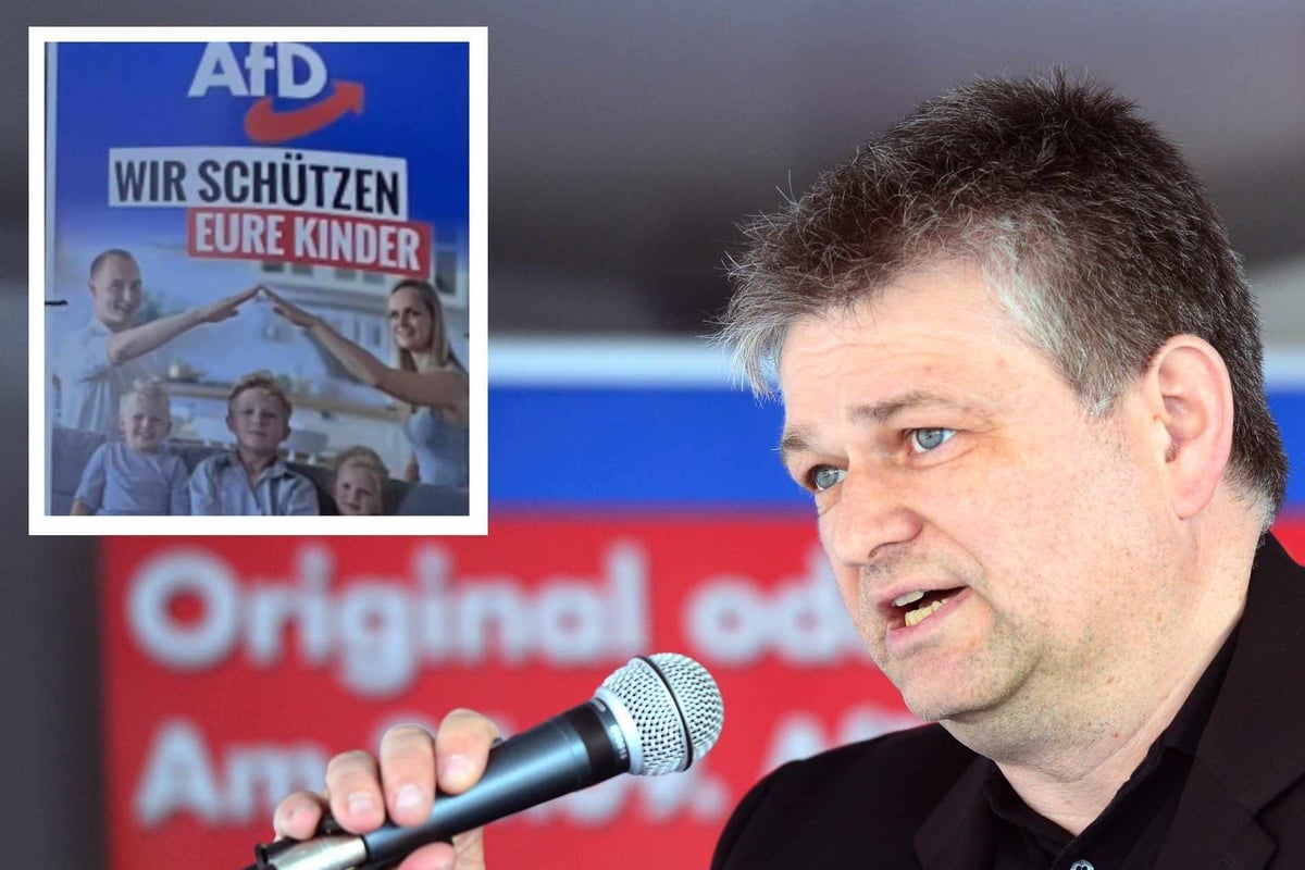 Hitlergruß auf AfD-Plakat? Jetzt ermittelt die Staatsanwaltschaft