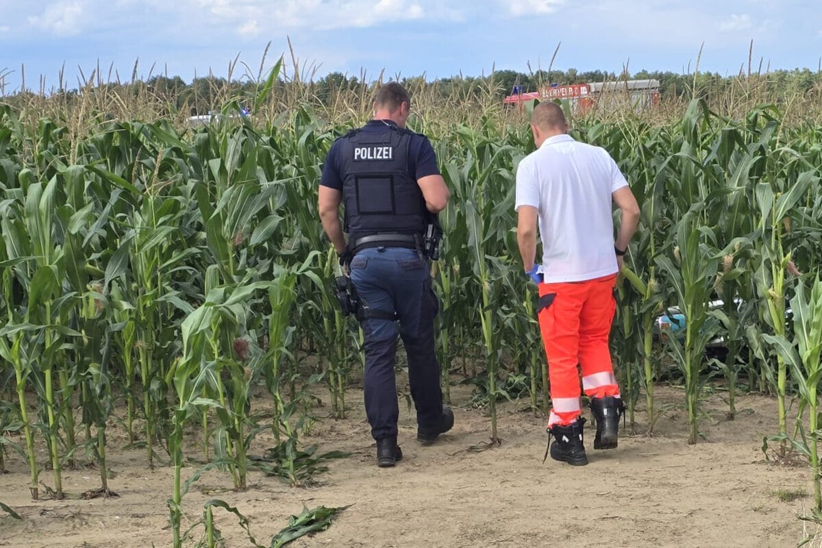 Rätsel um Harley-Unfall: Maschine im Maisfeld - vom Fahrer keine Spur!