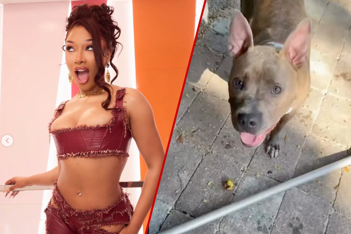 Megan Thee Stallion's dog shows her the backyard: "I'm down for that 'venture!"