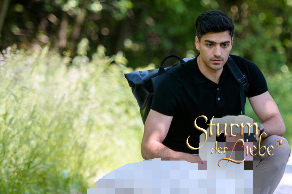 Wink des Schicksals bei "Sturm der Liebe": Ausgerechnet dieses Tier