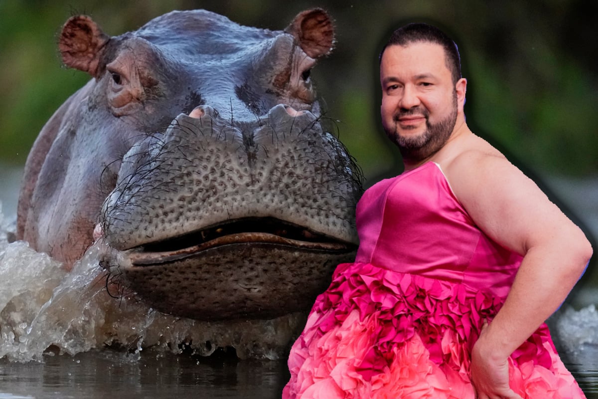 Oliver-Polak-illegal-im-Berliner-Zoo-Rave-im-Nilpferd-Gehege