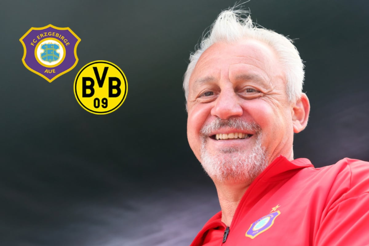 Testspiel-Kracher für Erzgebirge Aue: Veilchen empfangen heute Borussia Dortmund