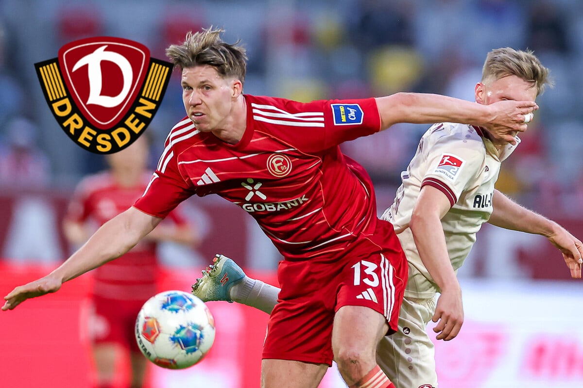 Dynamo-Trainer sieht 