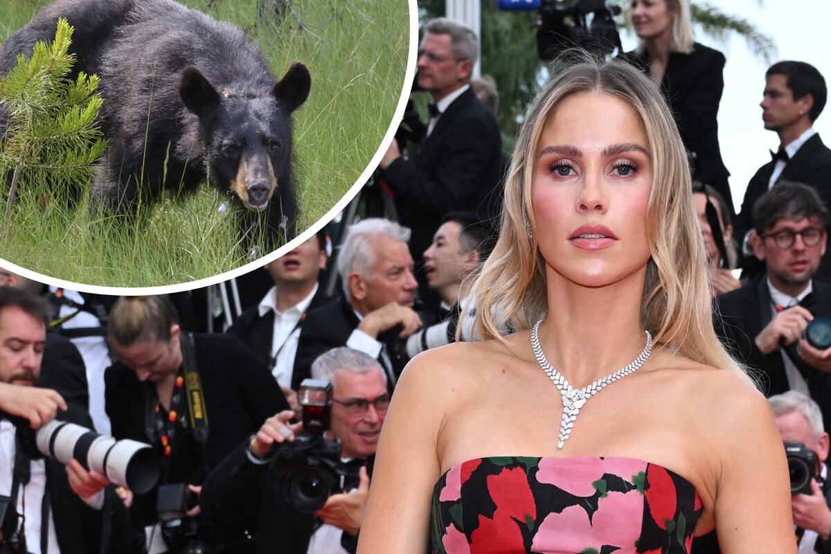 Schocknachricht von &quot;Vampire Diaries&quot;-Star: Schauspielerin von Bär verfolgt