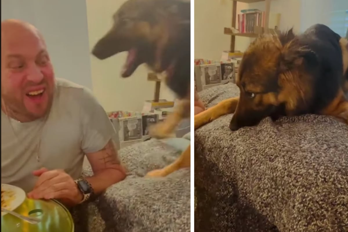 Mann macht komische Geräusche, der Hund neben ihm reagiert noch