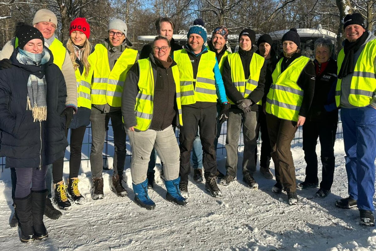 Alte-Weihnachtsb-ume-zu-Geld-gemacht